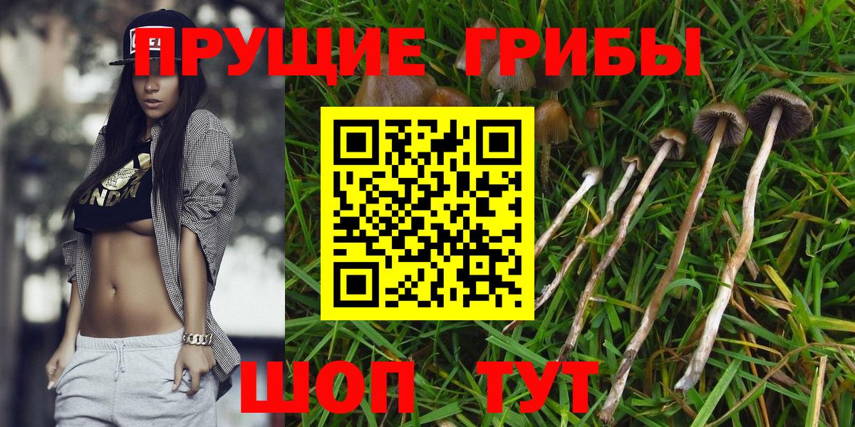 Галлюциногенные грибы мухоморы  Вход с VPN  Дзержинский 