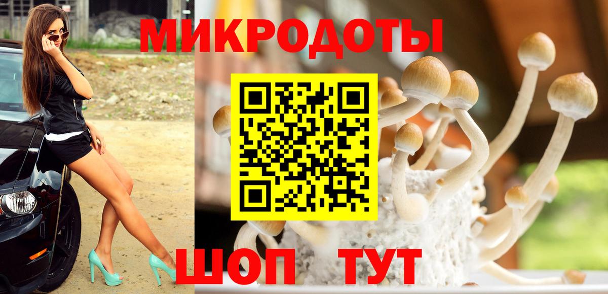 Галлюциногенные грибы Magic Shrooms Дзержинский